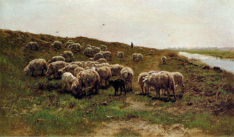 Mauve, Anton Sheep on a dyke China oil painting art